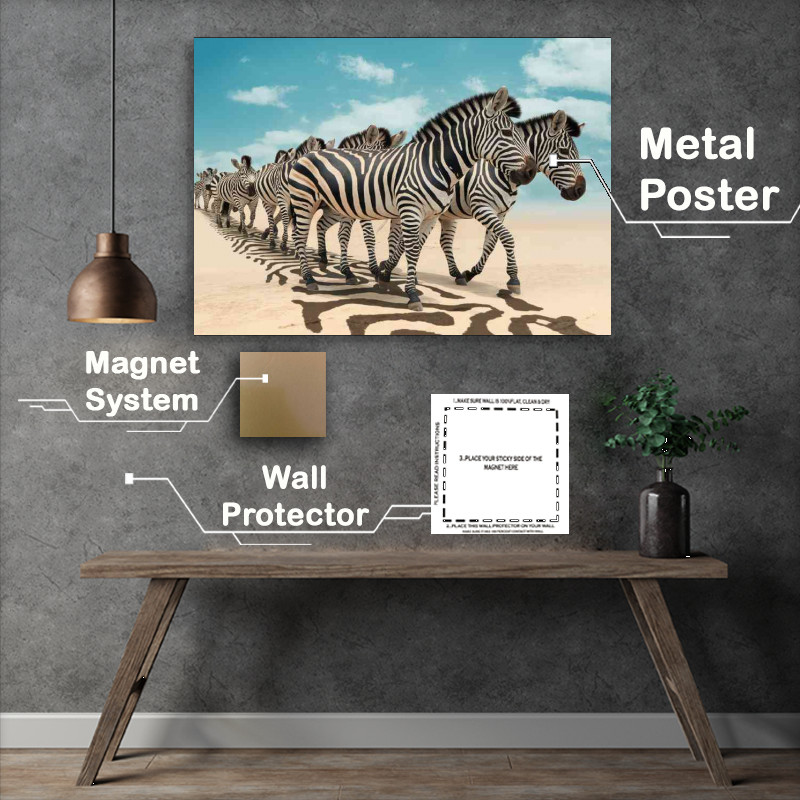 Buy Metal Poster : (Zebras with their distinct black and white strips)
