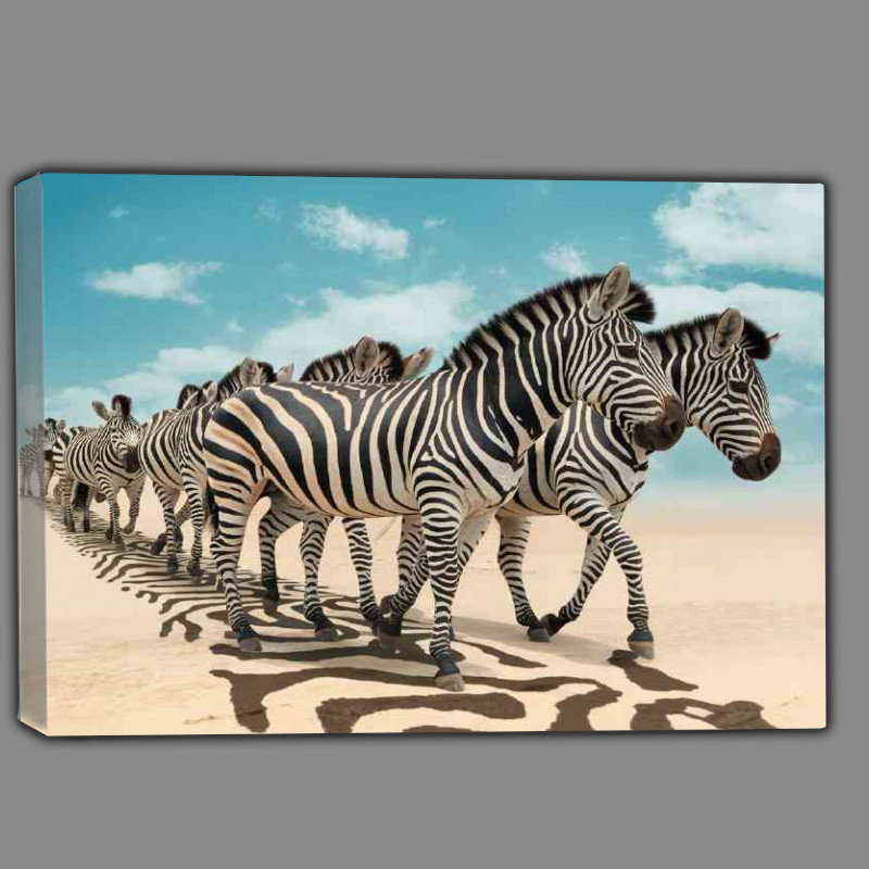 Buy Canvas : (Zebras with their distinct black and white strips)