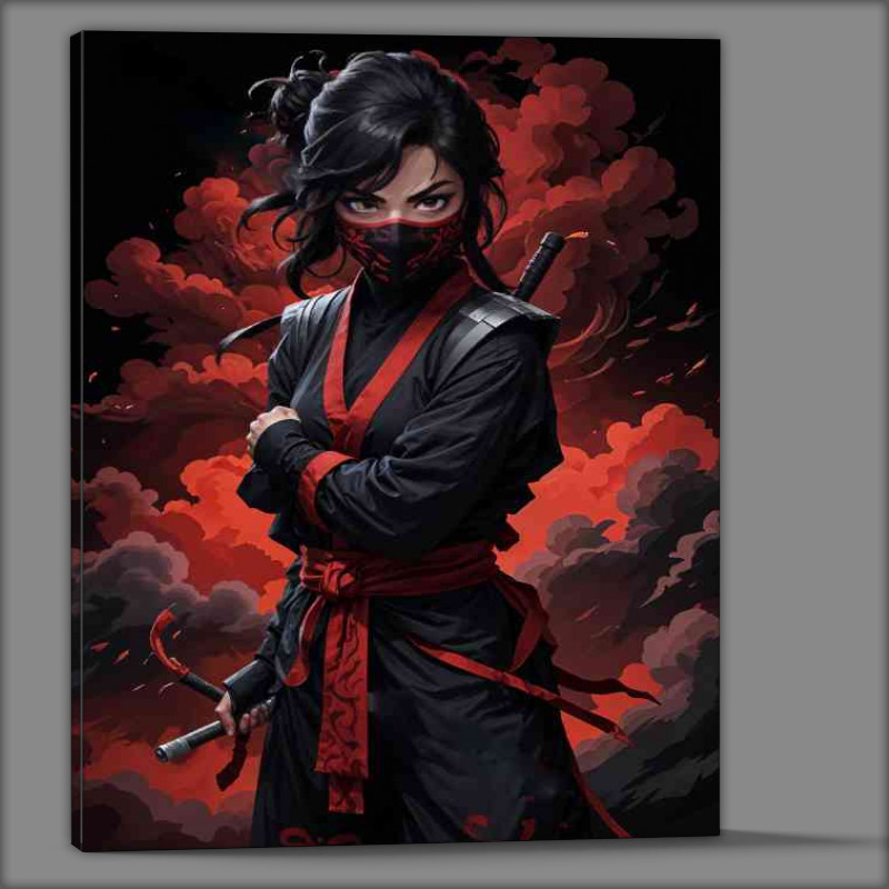 Buy Canvas : (Dark female ninja warrior with swords)