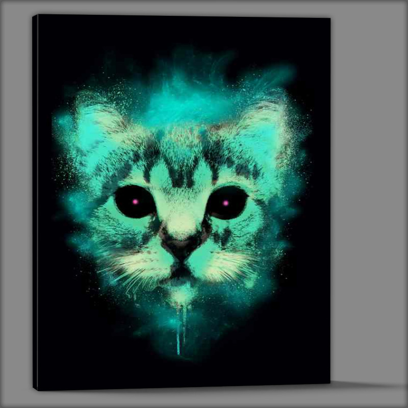 Buy Canvas : (Cosmic cat)