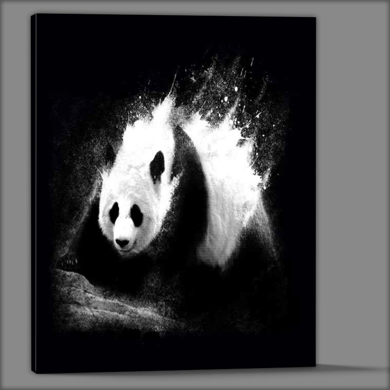 Buy Canvas : (Milky panda)