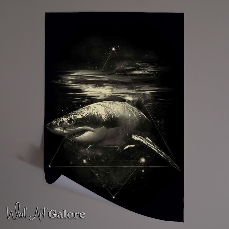 Buy Unframed Poster : (Shark in Space)