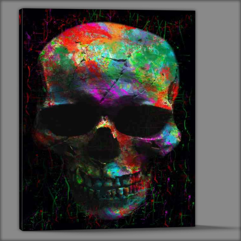 Buy Canvas : (Skull new)