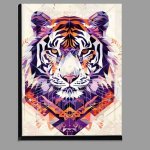 Buy Di-Bond : (White Tiger and geometric shapes)