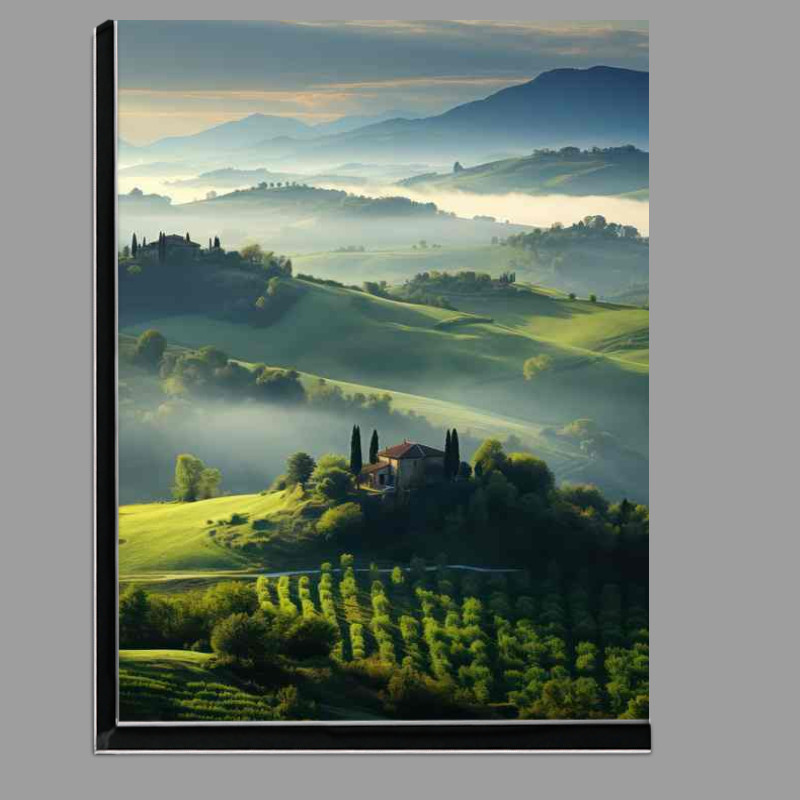Buy Di-Bond : (Tuscany trees and Mountain Mist)