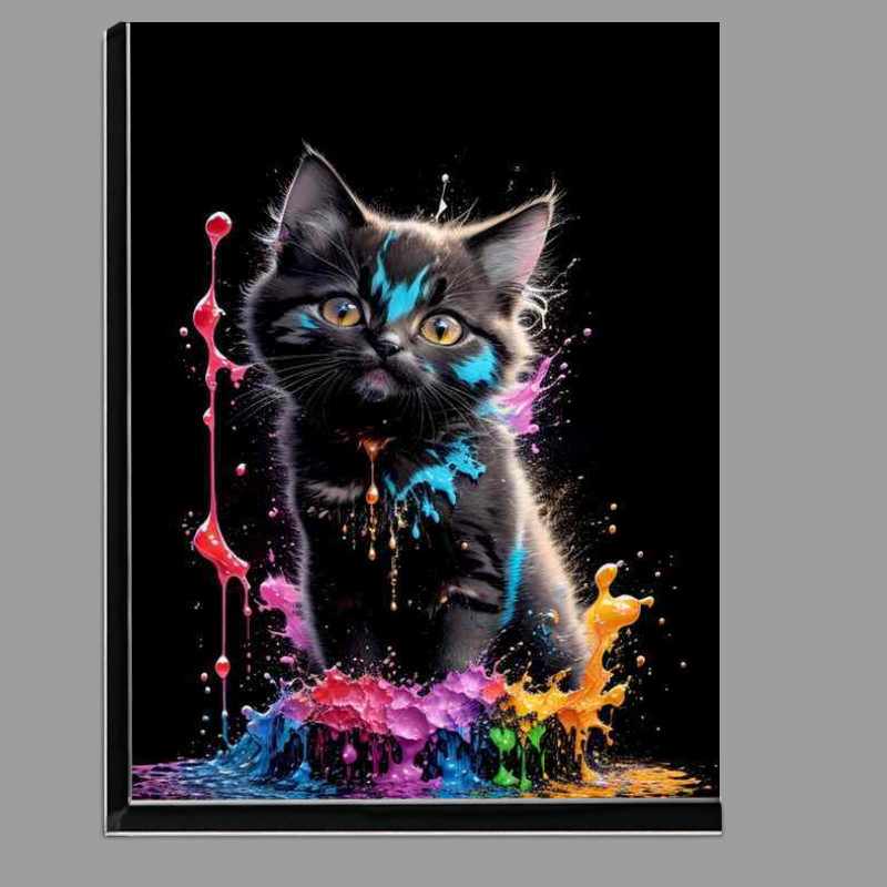 Buy Di-Bond : (Colorful Cat Charm Artistic Splash Vision)
