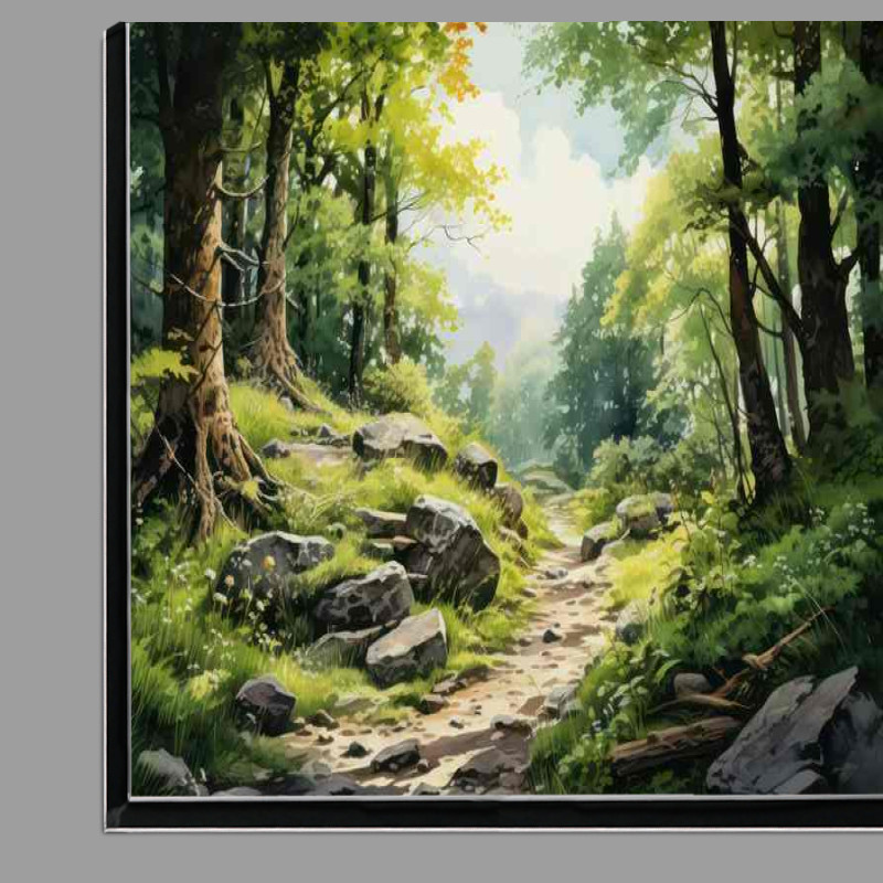 Buy Di-Bond : (The Winding Path In The Forest)