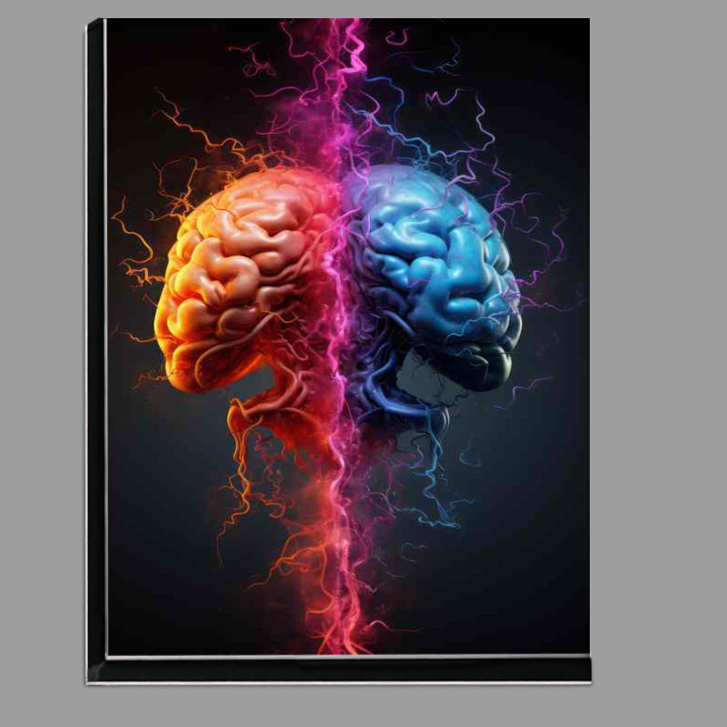Buy Di-Bond : (The Power of Shape and Hue The Human)
