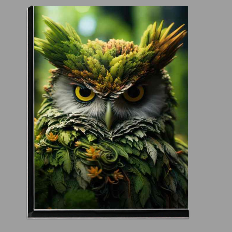 Buy Di-Bond : (Long-Eared Owl Behavior in the Forest)