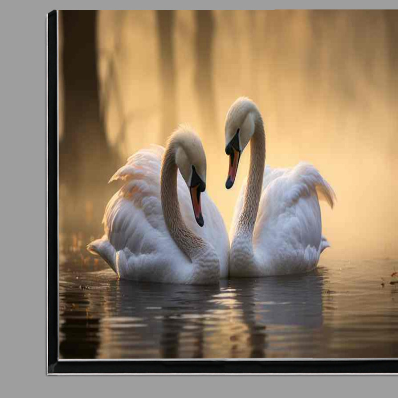 Buy Di-Bond : (A Pair of Swans swimming on the lake)