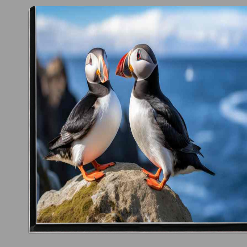 Buy Di-Bond : (Conserving Puffins and Coastal Ecosystems)