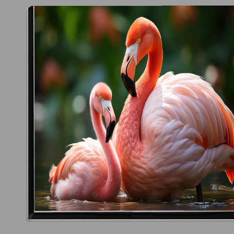 Buy Di-Bond : (Flamingos taken to water with her mom)