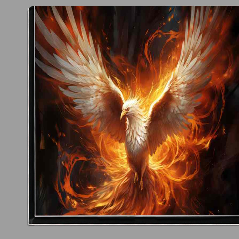 Buy Di-Bond : (Rising from Darkness The Phoenix Soars in the Night)