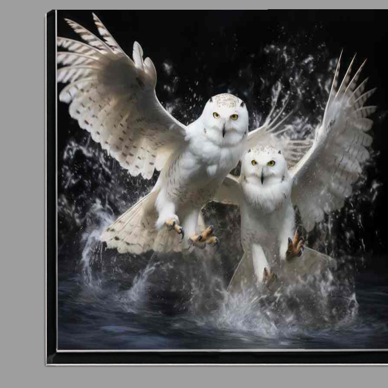 Buy Di-Bond : (Snowy owls in mid flight over water)
