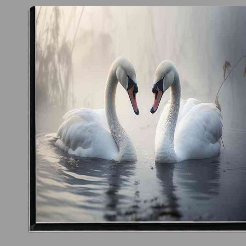 Buy Di-Bond : (Swan Lake Beauty A Symphony of Grace)