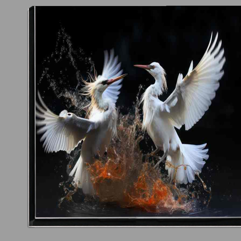 Buy Di-Bond : (Two egrets birds fighting in the water)
