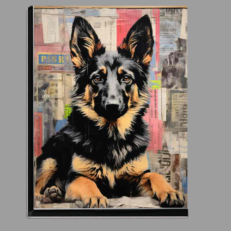 Buy Di-Bond : (Gerry The German Sheppard Posing)