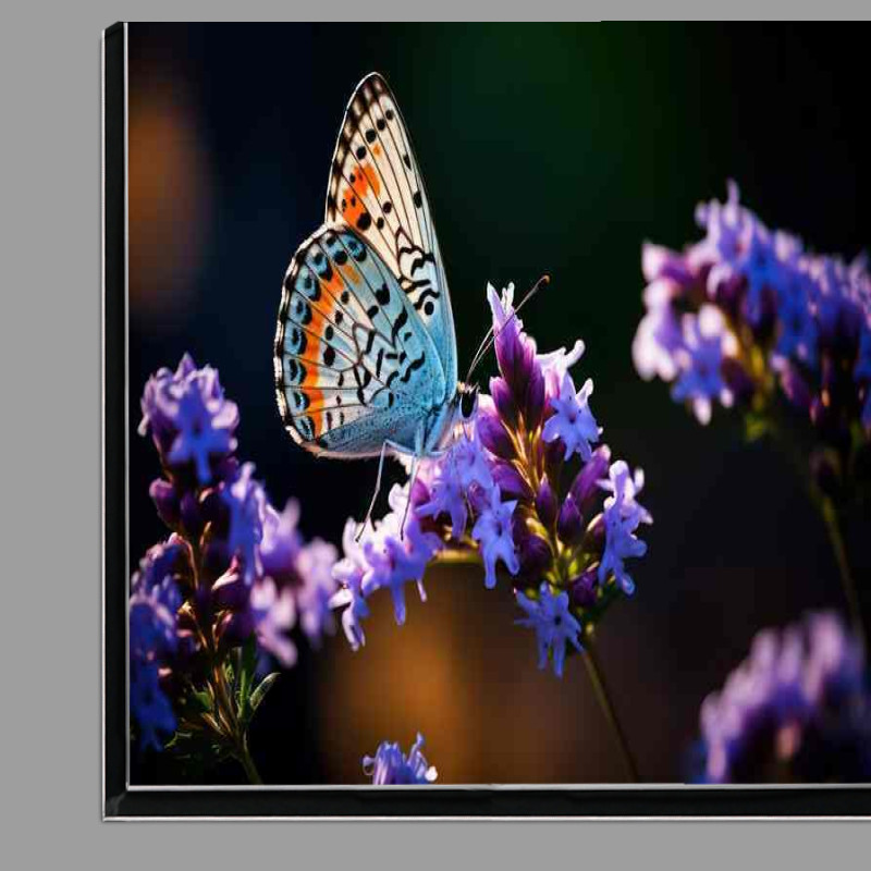 Buy Di-Bond : (A Symphony of Color Butterflies and Purple Blossoms)