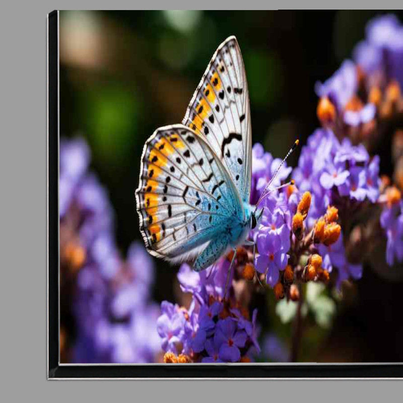 Buy Di-Bond : (Butterflies on Purple Flowers Natures Beauty Captured)