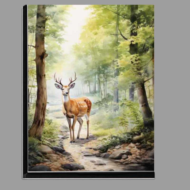 Buy Di-Bond : (A Day in the Life of a Woodsy Deer)