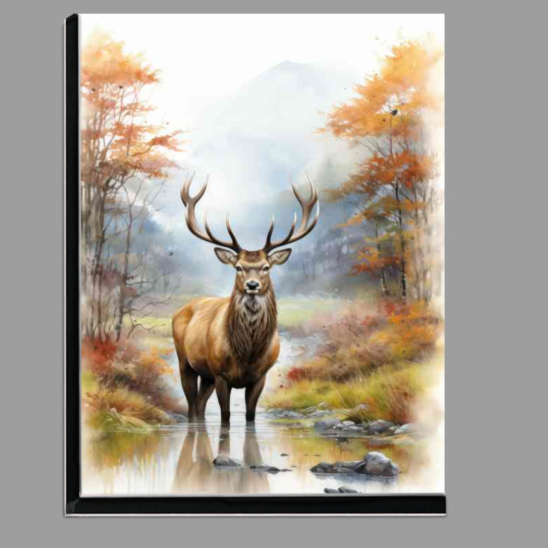 Buy Di-Bond : (Deer Thrive in the Woods)