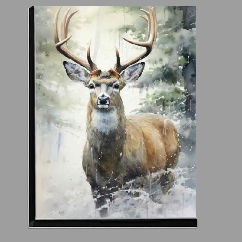 Buy Di-Bond : (Exploring the Enchanting World of Deer in the Woods)