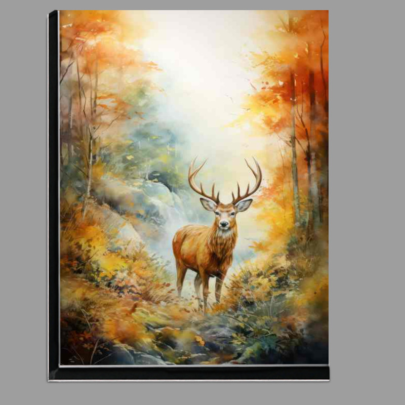 Buy Di-Bond : (Thriving in the Wild The Secret Lives of Deer)