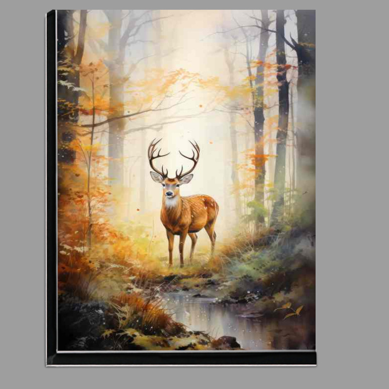 Buy Di-Bond : (Unveiling the Mysteries of Forest Dwelling Deer)