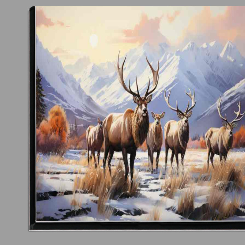 Buy Di-Bond : (A group of elk standing near a snowy mountain scene)