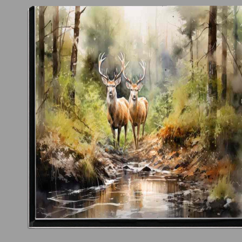 Buy Di-Bond : (Deer in the Woods A Natural Beauty to Behold)