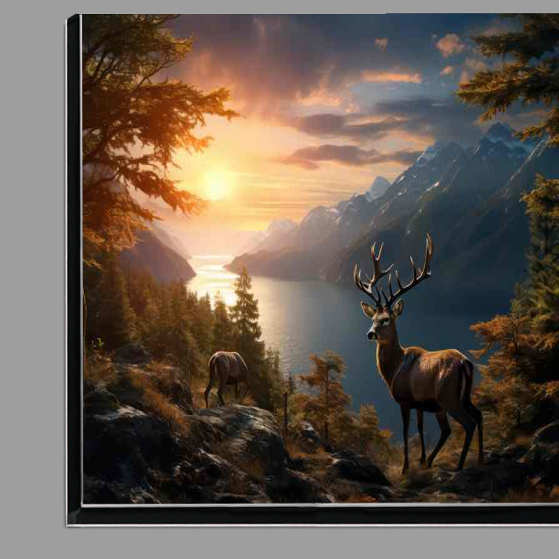 Buy Di-Bond : (Deer with the sunsert in the background)