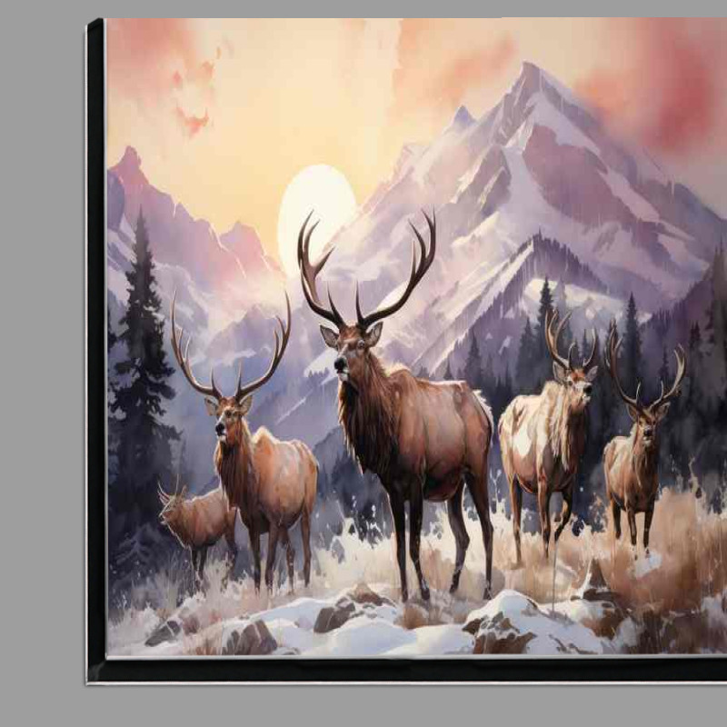 Buy Di-Bond : (Elks on the mountain range with a rising sun)