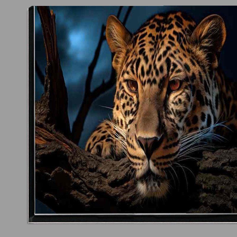 Buy Di-Bond : (Leopard head resting on a wood branch striking eyes)