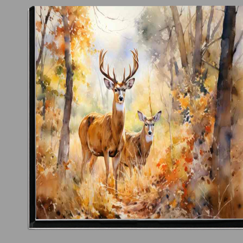Buy Di-Bond : (Secrets of the Forest The Lives of Woodland Deer)