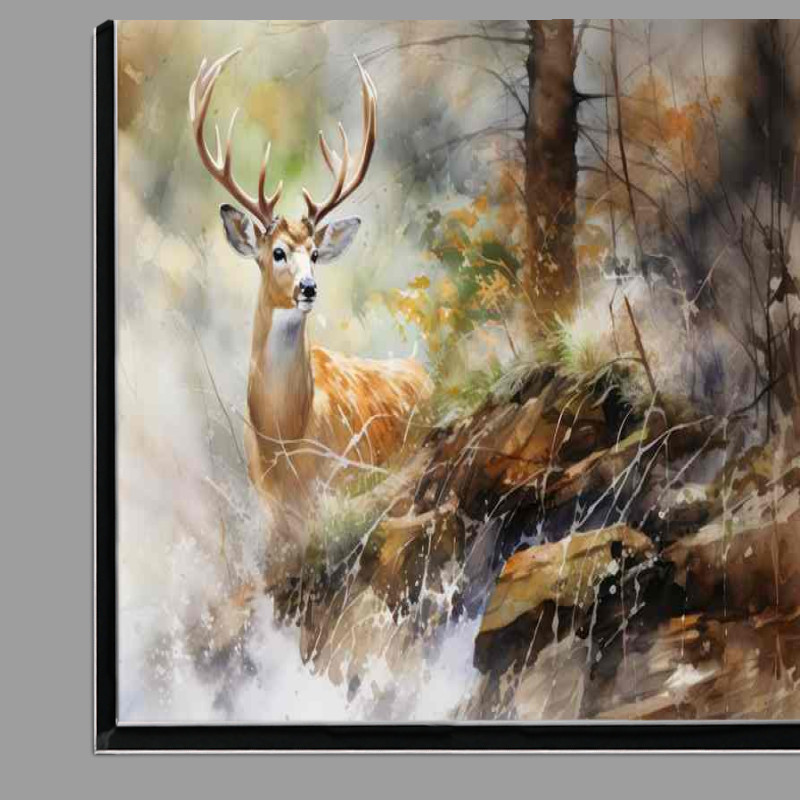 Buy Di-Bond : (Serenade of the Woods Deer in their Habitat)