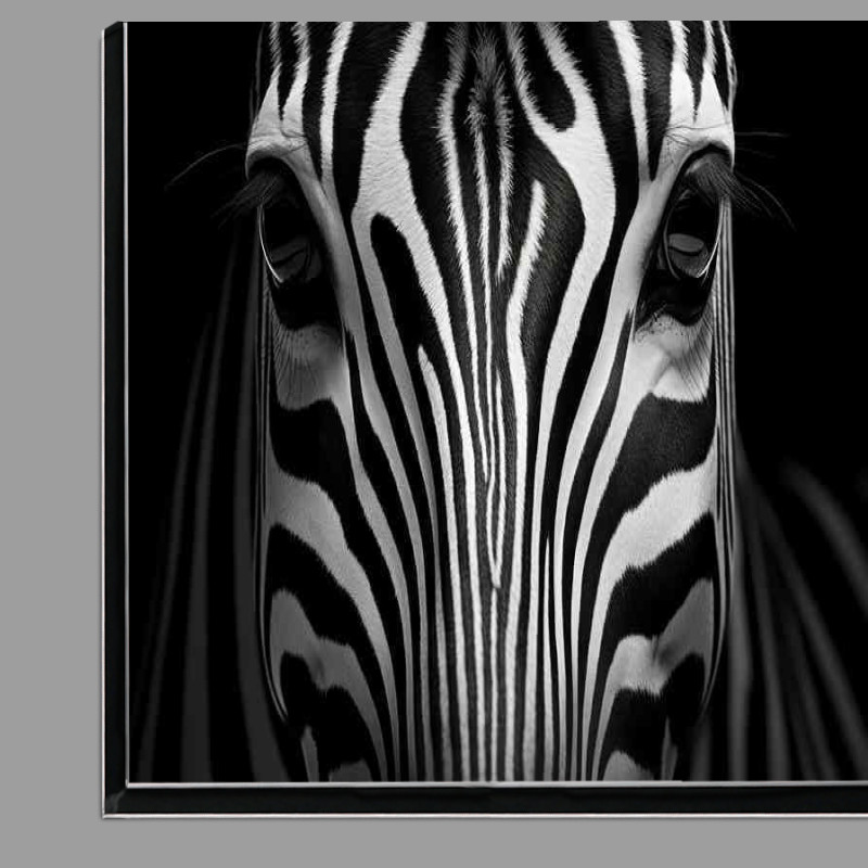 Buy Di-Bond : (Zebra head with amazing stripes)