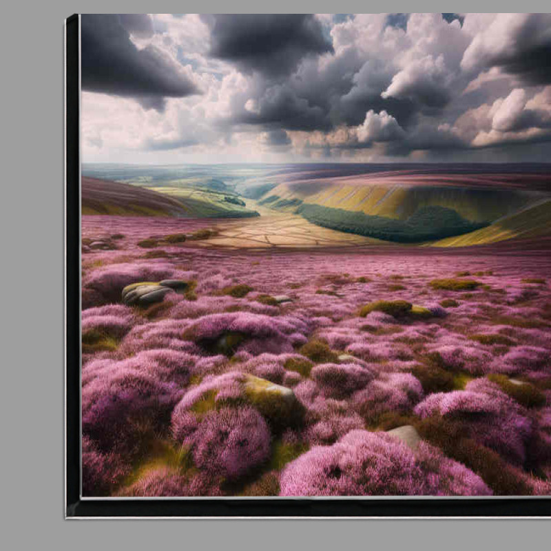 Buy Di-Bond : (Heather in the moorland in the summers sun)