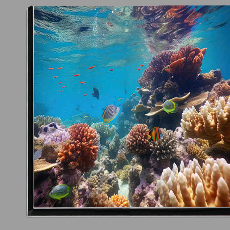 Buy Di-Bond : (The Great coral reef with clear blue waters)
