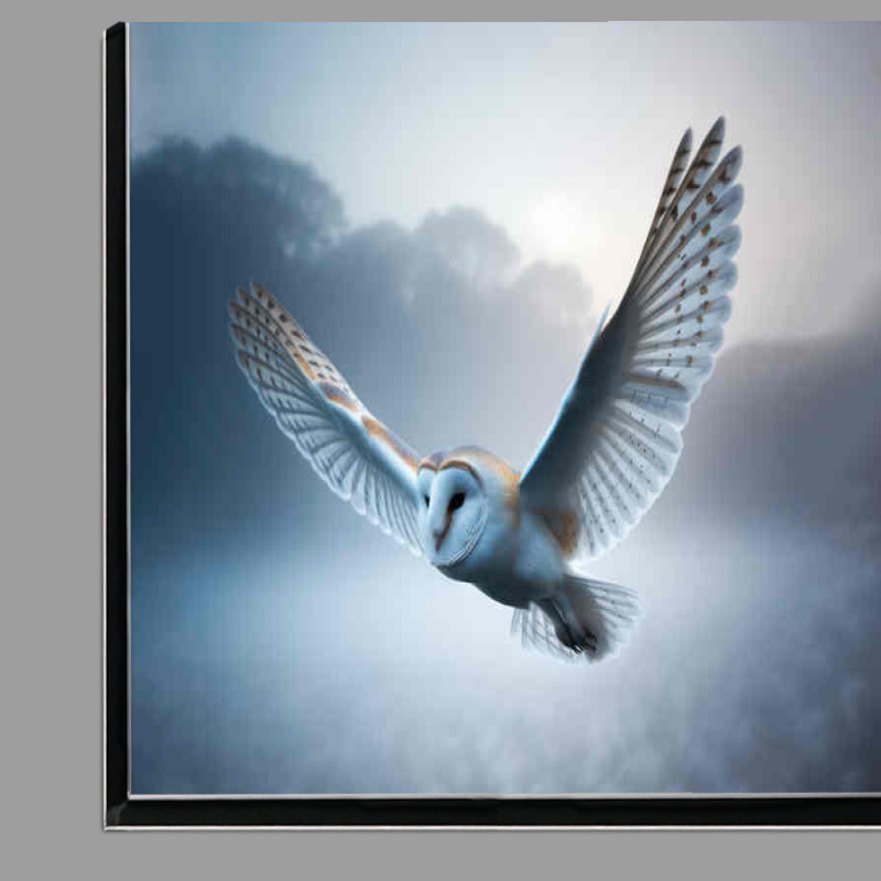Buy Di-Bond : (Barn Owl in Morning mist full flight)
