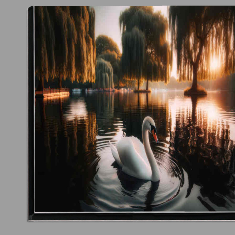 Buy Di-Bond : (Swan Gliding on the lake)