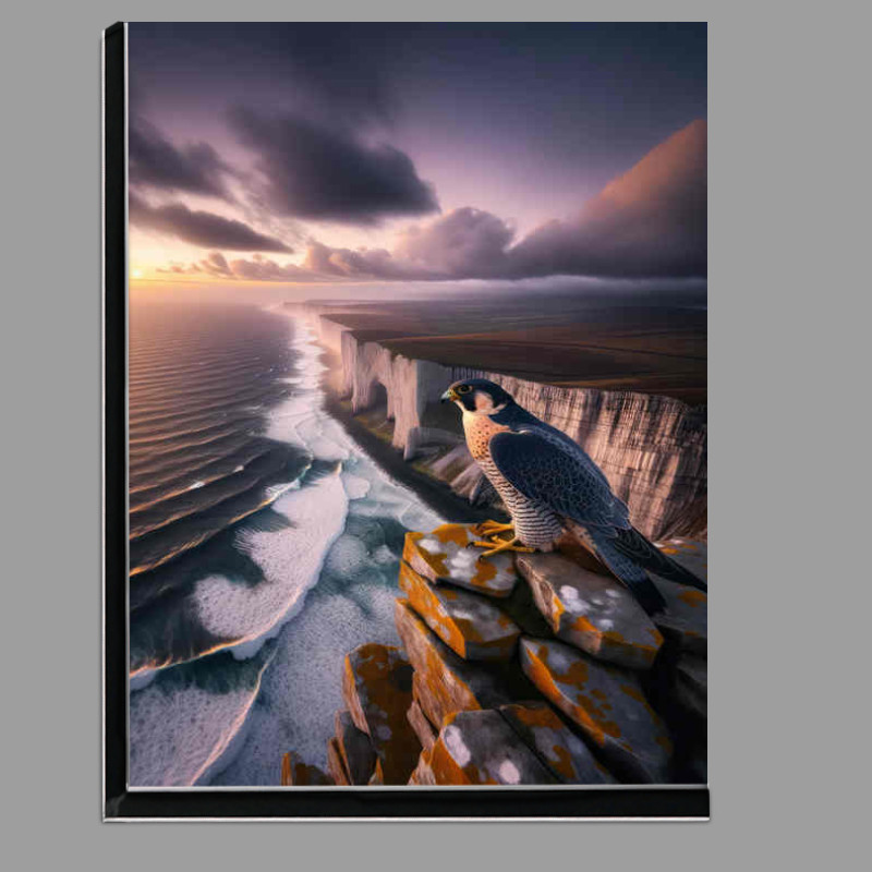 Buy Di-Bond : (British peregrine falcon perched atop a rugged cliff)