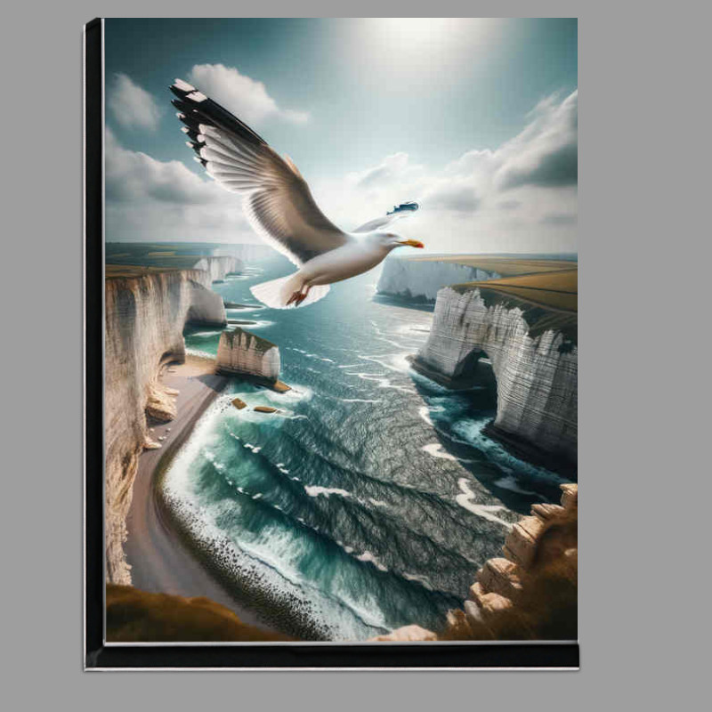 Buy Di-Bond : (Seagulls Coastal Flight - Rugged Coastal Soaring)