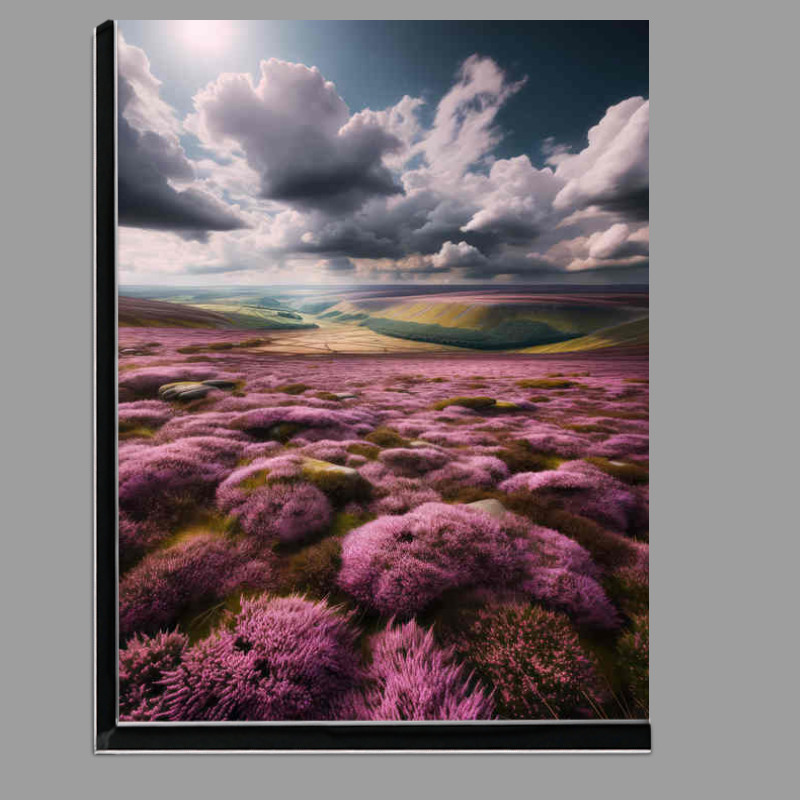 Buy Di-Bond : (British moorland covered in blooming purple heather)