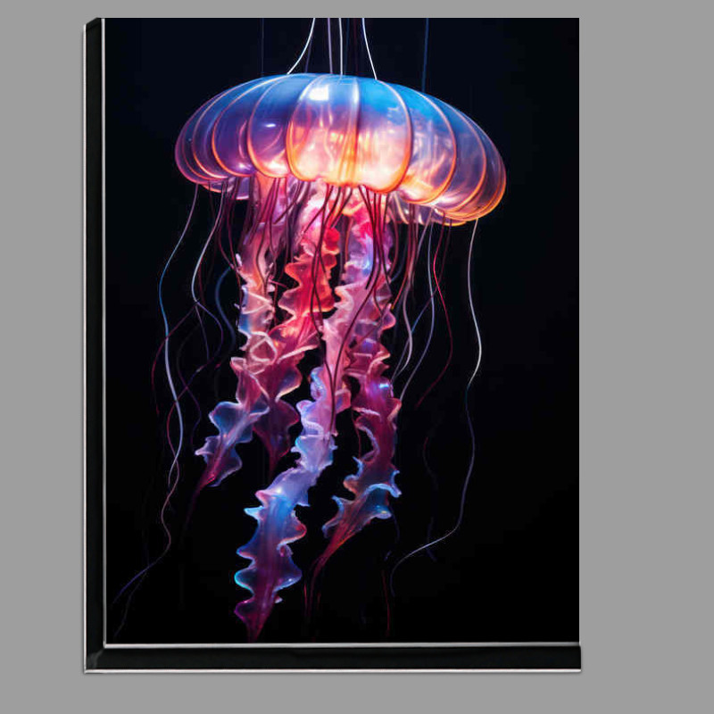 Buy Di-Bond : (Amazing colours on A Jellyfish)