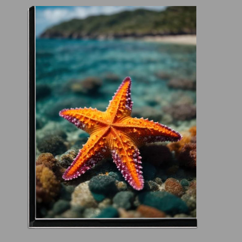 Buy Di-Bond : (Single Starfish on a beach by the sea)