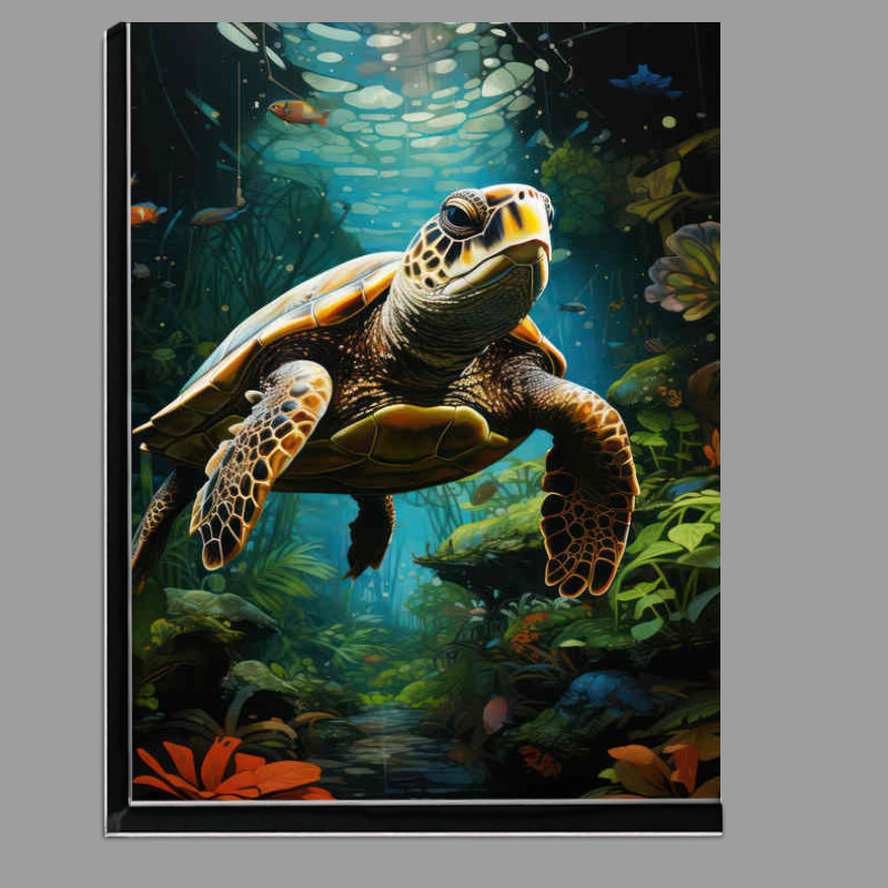 Buy Di-Bond : (Swimming Turtle majestically in the clear waters)