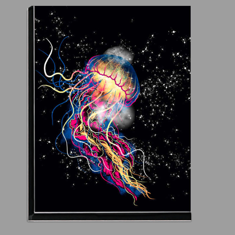 Buy Di-Bond : (Jellyfish)
