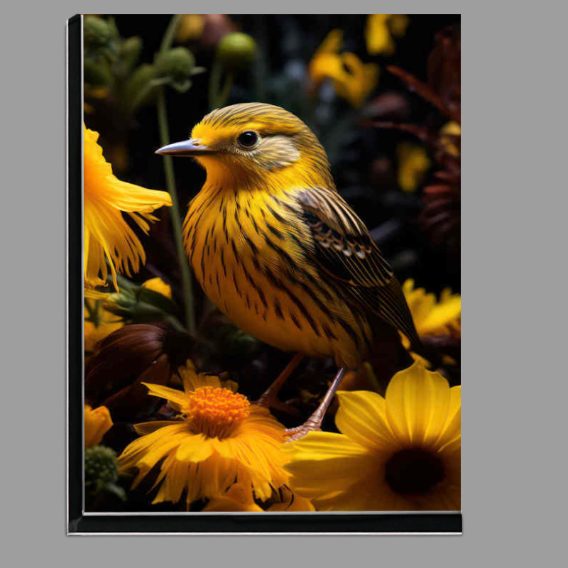 Buy Di-Bond : (Small Yellow Bird sitting amonst the daisys)