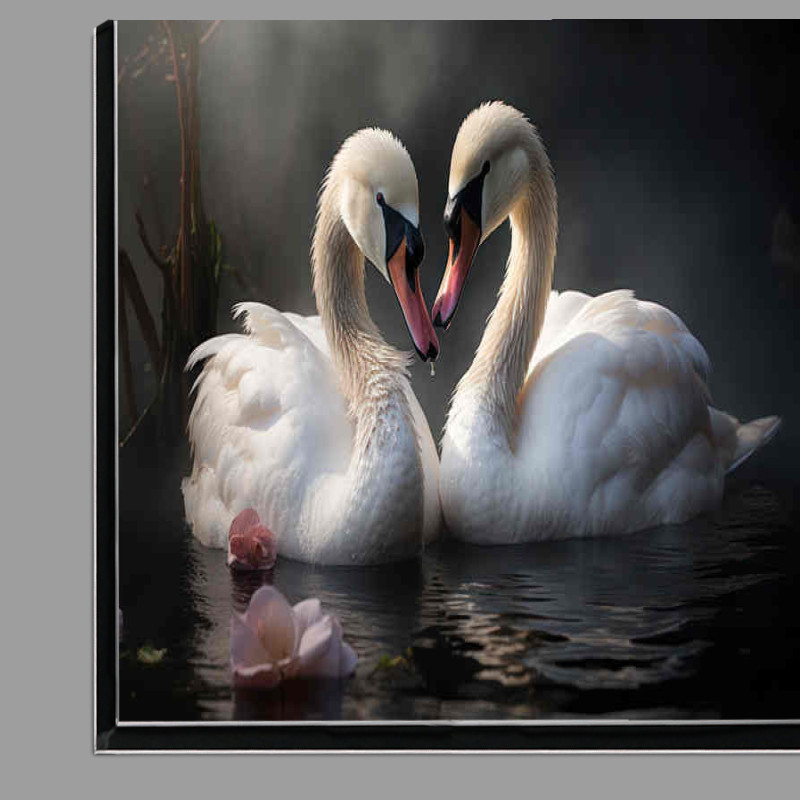 Buy Di-Bond : (Two swans in the water in of hazy romantic)