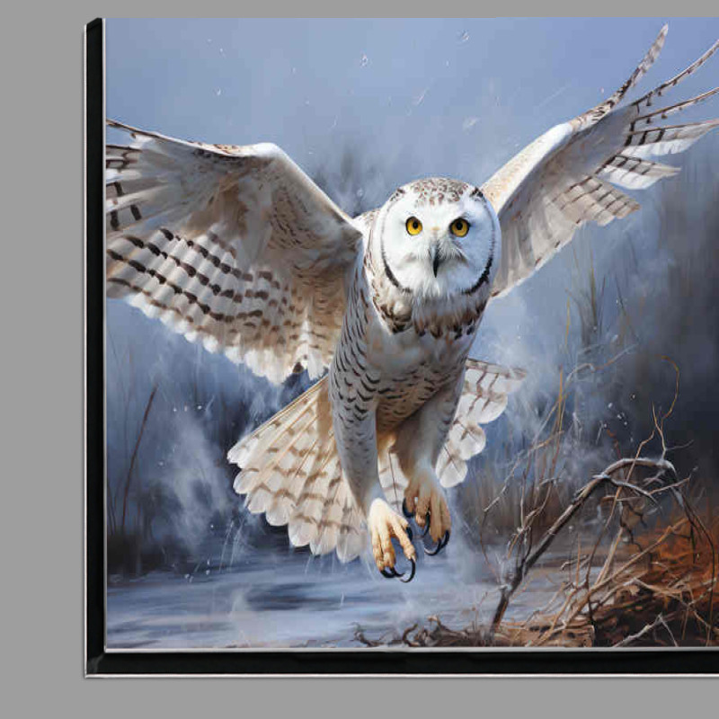 Buy Di-Bond : (Young Snowy Owl landing on a tree branch)